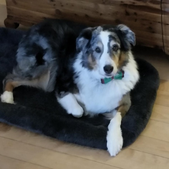 Meet your Posher, Lisa - Picture 2 of 2